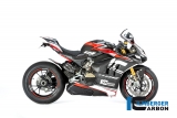 Carbon Ilmberger Winglets Ducati Panigale V4