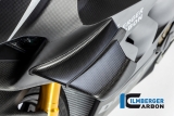 Carbon Ilmberger Winglets Ducati Panigale V4