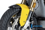 Estensione in carbonio del copriruota anteriore originale BMW S 1000 XR