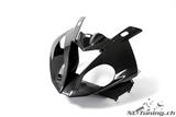 Carbon Ilmberger frontmask BMW S 1000 RR