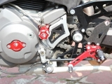 Ducabike Ritzelabdeckung Ducati Monster S4R