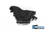 Carbon Ilmberger Ritzelabdeckung Honda CBR 1000 RR-R SP