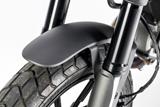 Protge roue avant carbone Ilmberger Ducati Scrambler Icon