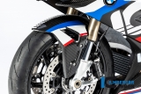 Copriruota anteriore in carbonio BMW M 1000 RR