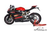 carbone Ilmberger carnage avant racing 2 pices Ducati Panigale 1299