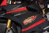 Carbon Ilmberger Kit de carnage latral route Ducati Panigale 899