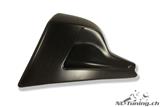 Carbon Ilmberger spoiler moteur/raccordement radiateur. Kit Ducati Diavel