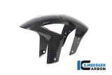 Carbon Ilmberger front fender Aprilia Tuono V4