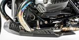 Carbon Ilmberger Motorschutz unten BMW R NineT Scrambler