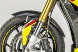 Copriruota anteriore in carbonio BMW S 1000 XR