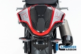 Carbon Ilmberger Heckverkleidung Biposto BMW S 1000 RR