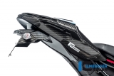 Carbon Ilmberger Cache arrire du cadre BMW S 1000 RR