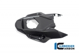 Tapa bastidor trasero carbono Ilmberger BMW S 1000 RR