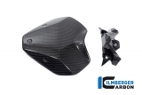 Carbon Ilmberger Windschild BMW M 1000 R