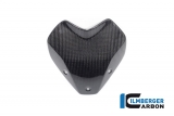 Carbon Ilmberger Windschild BMW M 1000 R