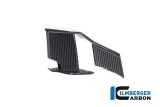 Carbon Ilmberger Winglets links BMW M 1000 R