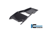 Carbon Ilmberger Winglets links BMW M 1000 R