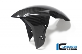 Copriruota anteriore Carbon Ilmberger BMW M 1000 XR