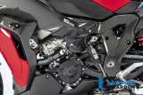 Carbon Ilmberger ramskyddssats BMW M 1000 XR