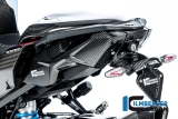 Juego de paneles de carbono Ilmberger para el bastidor trasero BMW M 1000 XR