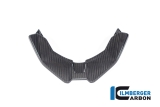 Carbon Ilmberger front beak BMW M 1000 XR