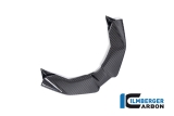 Carbon Ilmberger front beak BMW M 1000 XR