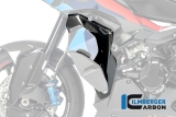 Carbon Ilmberger tapa lateral del enfriador de agua juego de carenado BMW M 1000 XR