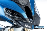 Carbon Ilmberger Verkleidungsmittelteil oben, Lufteinlass BMW S 1000 XR