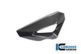 Carbon Ilmberger sidokpa fr vattenkylarens kpa BMW S 1000 XR