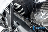 Carbon Ilmberger Bremsleitungsabdeckung BMW R 1300 GS