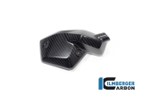 Carbon Ilmberger Einspritzdsen Abdeckungen Set BMW R 1300 GS