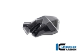 Carbon Ilmberger Einspritzdsen Abdeckungen Set BMW R 1300 GS