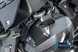 Carbon Ilmberger Einspritzdsen Abdeckungen Set BMW R 1300 GS