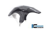 Carbon Ilmberger Kotflgel hinten BMW R 1300 GS