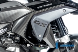 Carbon Ilmberger Luftauslassverkleidung Set BMW R 1300 GS