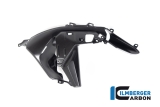 Carbon Ilmberger Luftauslassverkleidung Set BMW R 1300 GS