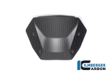 Carbon Ilmberger Windschild BMW R 1300 GS