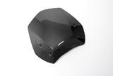 Carbon Ilmberger Windschild BMW R 1300 GS