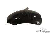 Carbon Ilmberger Kotflgel hinten BMW C 600 Sport