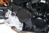 Carbon Ilmberger Cache-courroie de distribution BMW F 800 R