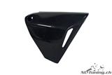 Carbon Ilmberger Cadre Triangle Cover Set BMW R 1200 R