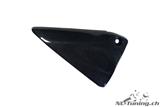 Carbon Ilmberger Cadre Triangle Cover Set BMW R 1200 R