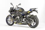 Tampons de carrossage en carbone Ilmberger sur le cadre Set BMW S 1000 R