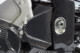 Carbon Ilmberger Ritzelabdeckung BMW S 1000 RR