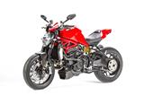 Carbon Ilmberger Vorderradabdeckung Ducati Monster 1200 R